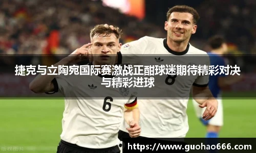 捷克与立陶宛国际赛激战正酣球迷期待精彩对决与精彩进球