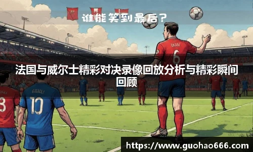 法国与威尔士精彩对决录像回放分析与精彩瞬间回顾